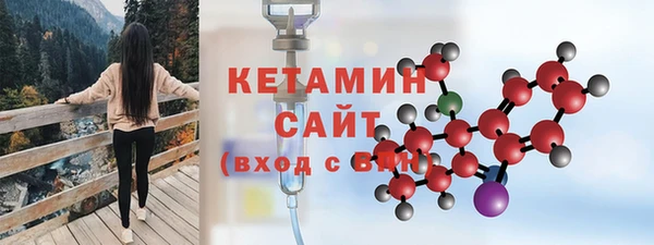 гидра Горно-Алтайск