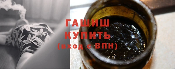 гидра Горно-Алтайск