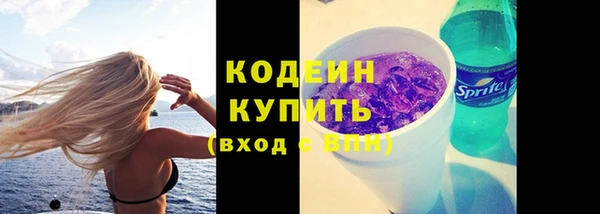 ПСИЛОЦИБИНОВЫЕ ГРИБЫ Струнино
