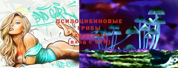 гидра Горно-Алтайск
