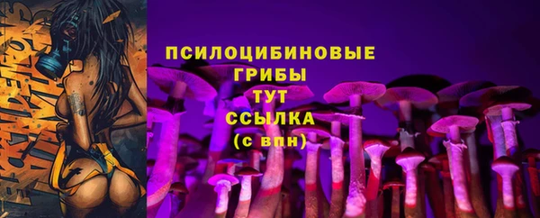амф Горнозаводск