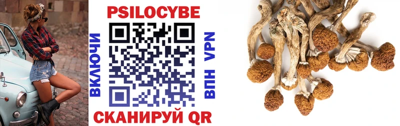 Галлюциногенные грибы Psilocybe  цена наркотик  площадка телеграм  Донской 