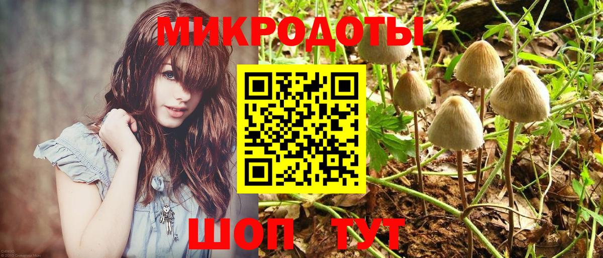 Донской  Галлюциногенные грибы прущие грибы  Вход с VPN 