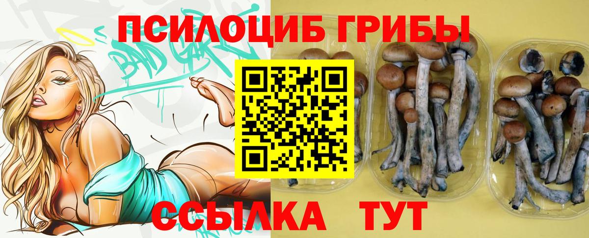 Галлюциногенные грибы ЛСД Донской