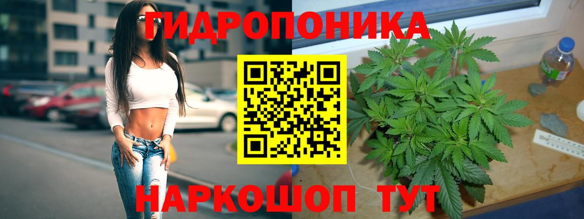 Бошки марихуана VHQ  Вход с VPN  Донской  Конопля сатива  Бошки марихуана ГИДРОПОН 